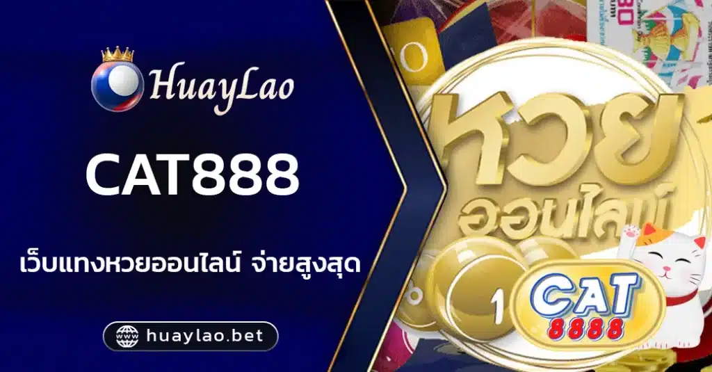 cat888